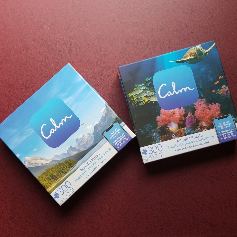 Spin Master Games Calm Mindful 300 Piece Jigsaw Puzzle Set Mountains Ocean